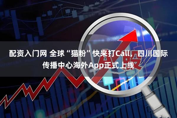 配资入门网 全球“猫粉”快来打Call，四川国际传播中心海外App正式上线